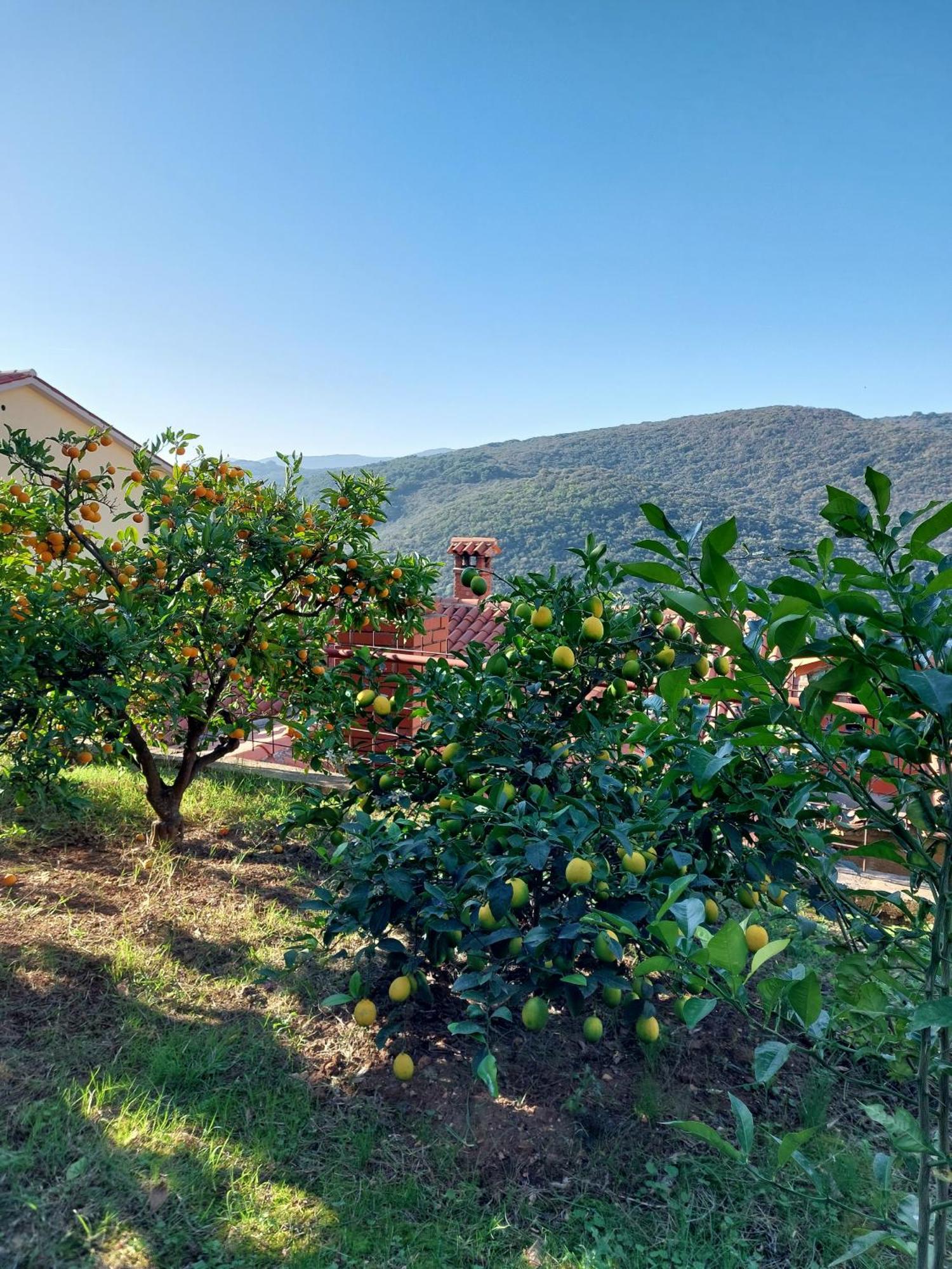 Apartment Kiwi Rabac Dış mekan fotoğraf