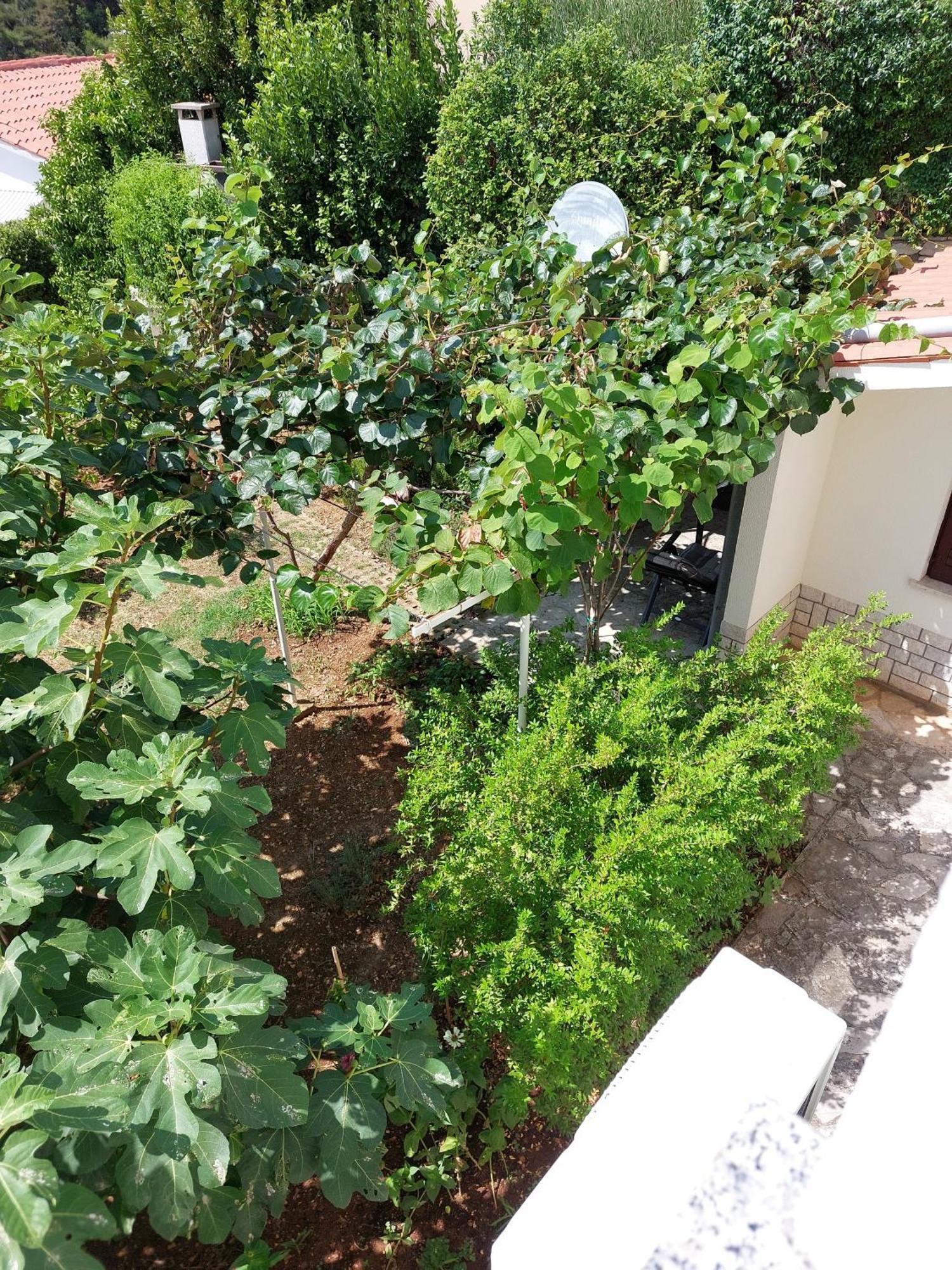 Apartment Kiwi Rabac Dış mekan fotoğraf